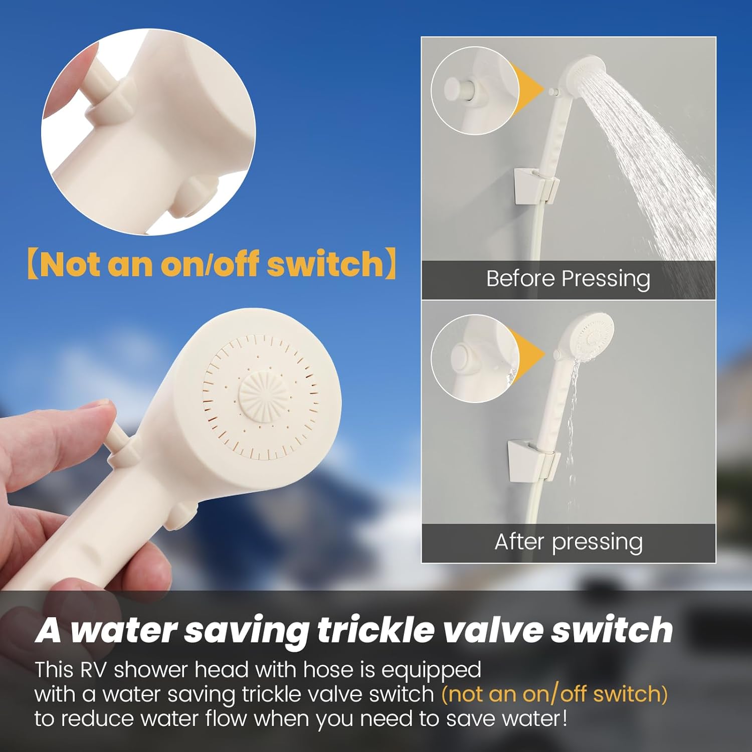 Hand Held Showerhead